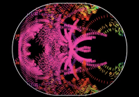 A screenshot from a Nils Berglund video of a Bunimovich stadium in action. (Courtesy Nils Berglund)