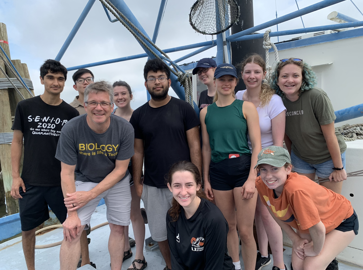School of Biological Sciences Associate Professor Brian Hammer (2nd from left), teaching assistant Ahn Pham (3rd from left) and nine 2022 Aquatic Chemical Ecology (ACE) REU students on a trawl along the Georgia coast.