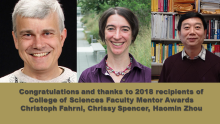2018 Outstanding Faculty Mentors